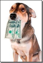 A dog with cash
