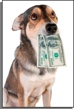 A dog with cash